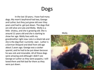 Dogs
             In the last 10 years, I have had many
dogs. My mom’s boyfriend had two, George
and Luther, but they just grew old over they
years and had to get put down. The dogs that
are still alive are Lola and Molly. Molly is a
little shiatsu, and she is growing old. She is
around 11 years old and she is starting to           Molly
show her age. Molly lives with my
grandmother right now. Lola is a black lab and
she is the dog that I currently own . Luther is
a German Shepard and died from old age
about 2 years ago. George was a cocker
spaniel, and he had to be put down because
he was sick and miserable. All of these dogs
were amazing and although I didn’t see
George or Luther as they were puppies, I still
loved them and felt bad for them as they
were put down.
 