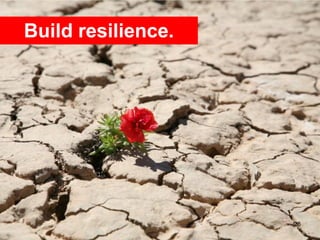 Build resilience.




                    28
 