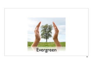 Evergreen
56
 