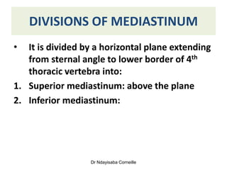 Comprehensive Overview of the Mediastinum: Anatomy and Divisions | PDF
