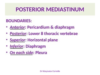 Comprehensive Anatomy and Clinical Overview of the Mediastinum | PPTX