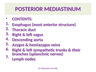 Comprehensive Anatomy and Clinical Overview of the Mediastinum | PPTX