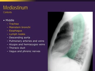 Mediastinal  Pathology  Compartmental  Approach