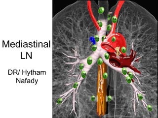 Mediastinal 
LN 
DR/ Hytham 
Nafady 
 