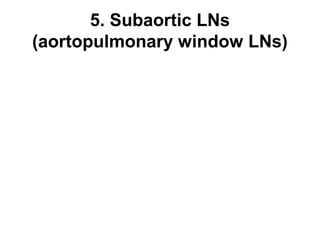 5. Subaortic LNs 
(aortopulmonary window LNs) 
 