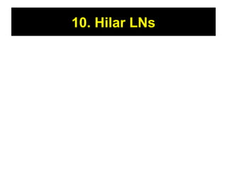 10. Hilar LNs 
 