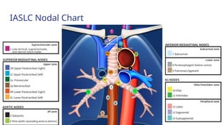 Current Evidences on Mediastinal Lymph Node Dissection for Lung Cancer ...