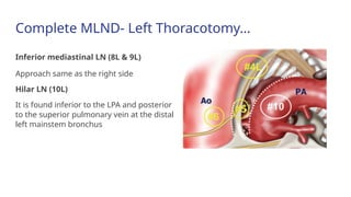 Current Evidences on Mediastinal Lymph Node Dissection for Lung Cancer ...