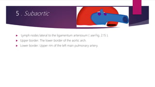 5 . Subaortic
 Lymph nodes lateral to the ligamentum arteriosum ( see Fig. 2.15 ).
 Upper border: The lower border of the aortic arch.
 Lower border: Upper rim of the left main pulmonary artery.
 