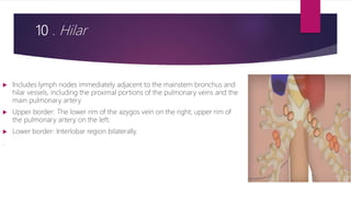 10 . Hilar
 Includes lymph nodes immediately adjacent to the mainstem bronchus and
hilar vessels, including the proximal portions of the pulmonary veins and the
main pulmonary artery
 Upper border: The lower rim of the azygos vein on the right; upper rim of
the pulmonary artery on the left.
 Lower border: Interlobar region bilaterally.
.
 