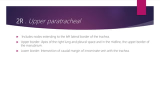 2R . Upper paratracheal
 Includes nodes extending to the left lateral border of the trachea.
 Upper border: Apex of the right lung and pleural space and in the midline, the upper border of
the manubrium.
 Lower border: Intersection of caudal margin of innominate vein with the trachea.
 
