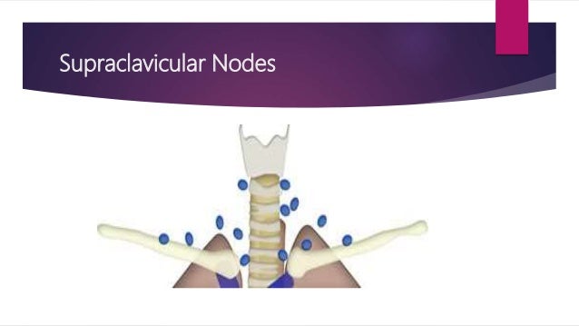 mediastinal lymph nodes