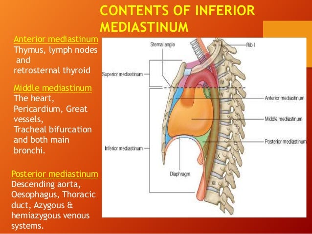 Mediastinal mass