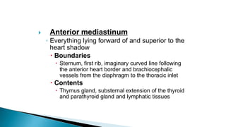  Anterior mediastinum
◦ Everything lying forward of and superior to the
heart shadow
 Boundaries
 Sternum, first rib, imaginary curved line following
the anterior heart border and brachiocephalic
vessels from the diaphragm to the thoracic inlet
 Contents
 Thymus gland, substernal extension of the thyroid
and parathyroid gland and lymphatic tissues
 