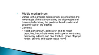  Middle mediastinum
◦ Dorsal to the anterior mediastinum, extends from the
lower edge of the sternum along the diaphragm and
then cephalad along the posterior heart border and
posterior wall of the trachea
◦ Contents
 Heart, pericardium, aortic arch and its major
branches, innominate veins and superior vena cava,
pulmonary arteries and hila, trachea, group of lymph
nodes, phrenic and upper vagus nerve
 