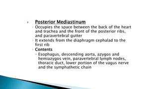  Posterior Mediastinum
◦ Occupies the space between the back of the heart
and trachea and the front of the posterior ribs,
and paravertebral gutter
◦ It extends from the diaphragm cephalad to the
first rib
◦ Contents
 Esophagus, descending aorta, azygos and
hemiazygos vein, paravertebral lymph nodes,
thoracic duct, lower portion of the vagus nerve
and the symphathetic chain
 