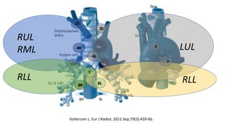 RUL
RML
2R
4R
10R
RLL
8R
LUL
2L
4L
6
RLL8L
7
5
Volterrani L. Eur J Radiol. 2011 Sep;79(3):459-66.
 