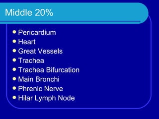 Middle 20% Pericardium Heart Great Vessels Trachea Trachea Bifurcation Main Bronchi Phrenic Nerve Hilar Lymph Node 