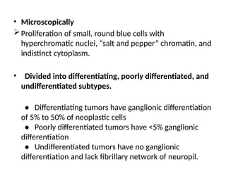 • Microscopically
Proliferation of small, round blue cells with
hyperchromatic nuclei, “salt and pepper” chromatin, and
indistinct cytoplasm.
• Divided into differentiating, poorly differentiated, and
undifferentiated subtypes.
• Differentiating tumors have ganglionic differentiation
of 5% to 50% of neoplastic cells
• Poorly differentiated tumors have <5% ganglionic
differentiation
• Undifferentiated tumors have no ganglionic
differentiation and lack fibrillary network of neuropil.
 