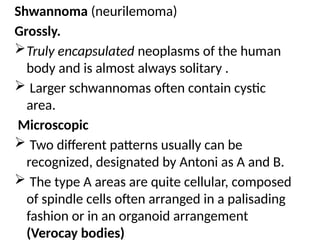 Shwannoma (neurilemoma)
Grossly.
Truly encapsulated neoplasms of the human
body and is almost always solitary .
 Larger schwannomas often contain cystic
area.
Microscopic
 Two different patterns usually can be
recognized, designated by Antoni as A and B.
 The type A areas are quite cellular, composed
of spindle cells often arranged in a palisading
fashion or in an organoid arrangement
(Verocay bodies)
 