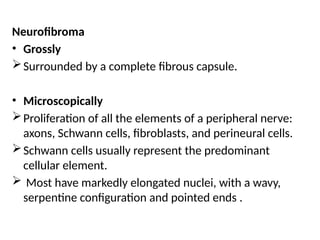 Neurofibroma
• Grossly
Surrounded by a complete fibrous capsule.
• Microscopically
Proliferation of all the elements of a peripheral nerve:
axons, Schwann cells, fibroblasts, and perineural cells.
Schwann cells usually represent the predominant
cellular element.
 Most have markedly elongated nuclei, with a wavy,
serpentine configuration and pointed ends .
 