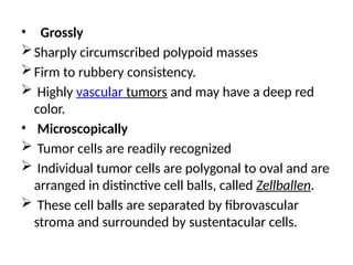 • Grossly
Sharply circumscribed polypoid masses
Firm to rubbery consistency.
 Highly vascular tumors and may have a deep red
color.
• Microscopically
 Tumor cells are readily recognized
 Individual tumor cells are polygonal to oval and are
arranged in distinctive cell balls, called Zellballen.
 These cell balls are separated by fibrovascular
stroma and surrounded by sustentacular cells.
 
