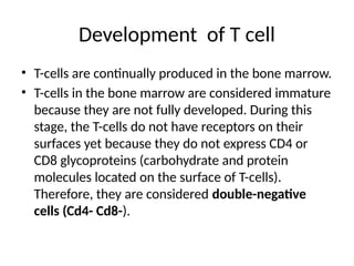 Development of T cell
• T-cells are continually produced in the bone marrow.
• T-cells in the bone marrow are considered immature
because they are not fully developed. During this
stage, the T-cells do not have receptors on their
surfaces yet because they do not express CD4 or
CD8 glycoproteins (carbohydrate and protein
molecules located on the surface of T-cells).
Therefore, they are considered double-negative
cells (Cd4- Cd8-).
 