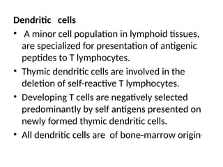 Dendritic cells
• A minor cell population in lymphoid tissues,
are specialized for presentation of antigenic
peptides to T lymphocytes.
• Thymic dendritic cells are involved in the
deletion of self-reactive T lymphocytes.
• Developing T cells are negatively selected
predominantly by self antigens presented on
newly formed thymic dendritic cells.
• All dendritic cells are of bone-marrow origin.
 