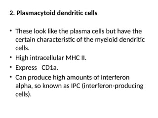 2. Plasmacytoid dendritic cells
• These look like the plasma cells but have the
certain characteristic of the myeloid dendritic
cells.
• High intracellular MHC II.
• Express CD1a.
• Can produce high amounts of interferon
alpha, so known as IPC (interferon-producing
cells).
 