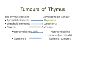 Tumours of Thymus
The thymus contains Corresponding tumour
• Epithelial elements Thymoma
• Lymphoid elements Lymphoma
• Stroma Sarcomas
•Neuroendocrine cells Neuroendocrine
tumours (carcinoids)
• Germ cells Germ cell tumours
 