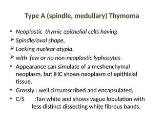 Type A (spindle, medullary) Thymoma
• Neoplastic thymic epithelial cells having
 Spindle/oval shape,
 Lacking nuclear atypia,
 with few or no non-neoplastic lyphocytes.
• Appearance can simulate of a meshenchymal
neoplasm, but IHC shows neoplasm of epithleial
tissue.
• Grossly : well circumscribed and encapsulated.
• C/S :Tan white and shows vague lobulation with
less distinct dissecting white fibrous bands.
 