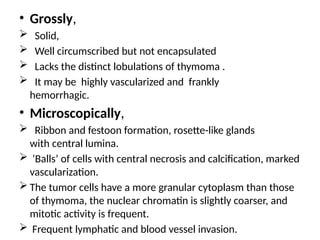 • Grossly,
 Solid,
 Well circumscribed but not encapsulated
 Lacks the distinct lobulations of thymoma .
 It may be highly vascularized and frankly
hemorrhagic.
• Microscopically,
 Ribbon and festoon formation, rosette-like glands
with central lumina.
 ‘Balls’ of cells with central necrosis and calcification, marked
vascularization.
 The tumor cells have a more granular cytoplasm than those
of thymoma, the nuclear chromatin is slightly coarser, and
mitotic activity is frequent.
 Frequent lymphatic and blood vessel invasion.
 