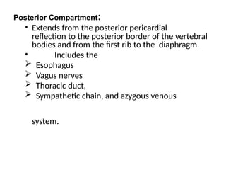 Posterior Compartment:
• Extends from the posterior pericardial
reflection to the posterior border of the vertebral
bodies and from the first rib to the diaphragm.
• Includes the
 Esophagus
 Vagus nerves
 Thoracic duct,
 Sympathetic chain, and azygous venous
system.
 