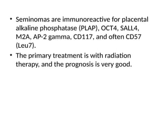 • Seminomas are immunoreactive for placental
alkaline phosphatase (PLAP), OCT4, SALL4,
M2A, AP-2 gamma, CD117, and often CD57
(Leu7).
• The primary treatment is with radiation
therapy, and the prognosis is very good.
 