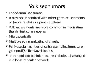 Yolk sec tumors
• Endodermal sac tumor,
• It may occur admixed with other germ cell elements
or (more rarely) as a pure neoplasm.
• Yolk sac elements are more common in mediastinal
than in testicular neoplasm.
• Microscopically
Multiple communicating channels,
Penivascular mantles of cells resembling immature
glomeruli(Shiller-Duval bodies).
 Intra- and extracellular hyaline globules all arranged
in a loose reticular network .
 