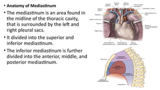 Comprehensive Anatomy of the Mediastinum and Heart Surfaces and Borders ...