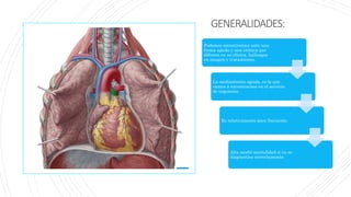 GENERALIDADES:
Podemos encontrarnos ante una
forma aguda y una crónica que
difieren en su clínica, hallazgos
en imagen y tratamiento.
La mediastinitis aguda, es la que
vamos a encontrarnos en el servicio
de urgencias.
Es relativamente poco frecuente,
Alta morbi-mortalidad si no se
diagnostica correctamente.
 