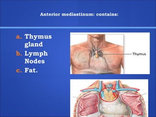 Anterior mediastinum: contains:
a. Thymus
gland
b. Lymph
Nodes
c. Fat.
 