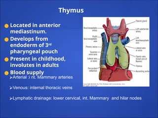 Thymus
● Located in anterior
mediastinum.
● Develops from
endoderm of 3rd
pharyngeal pouch
● Present in childhood,
involutes in adults
● Blood supply
⮚Arterial :i nt. Mammary arteries
⮚Venous: internal thoracic veins
⮚Lymphatic drainage: lower cervical, int. Mammary and hilar nodes
 