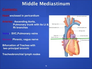 Middle Mediastinum
Contents:
Heart enclosed in pericardium
Arteries: Ascending Aorta,
Pulmonary trunk with its Lt &
Rt branches
Veins: SVC,Pulmonary veins
Nerves: Phrenic, vagus nerve
Bifurcation of Trachea with
two principal bronchi
Tracheobronchial lymph nodes
18
 