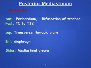 Posterior Mediastinum
Boundaries:
Ant. Pericardium, Bifurcation of trachea
Post. T5 to T12
sup. Transverse thoracic plane
Inf. diaphragm
Sides: Mediastinal pleura
19
 