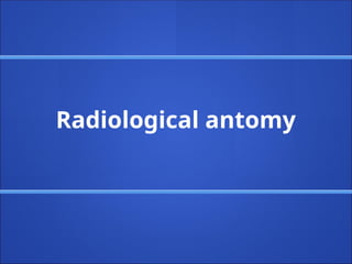 Radiological antomy
 