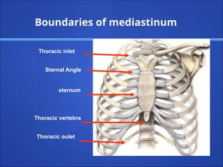 Sternal Angle
Thoracic inlet
Thoracic oulet
Boundaries of mediastinum
sternum
Thoracic vertebra
 