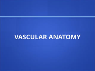 VASCULAR ANATOMY
 
