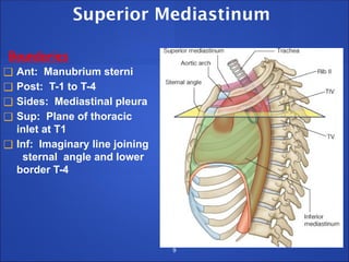 Superior Mediastinum
Boundaries
❑ Ant: Manubrium sterni
❑ Post: T-1 to T-4
❑ Sides: Mediastinal pleura
❑ Sup: Plane of thoracic
inlet at T1
❑ Inf: Imaginary line joining
sternal angle and lower
border T-4
9
 