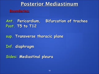 Mediastinal tumors