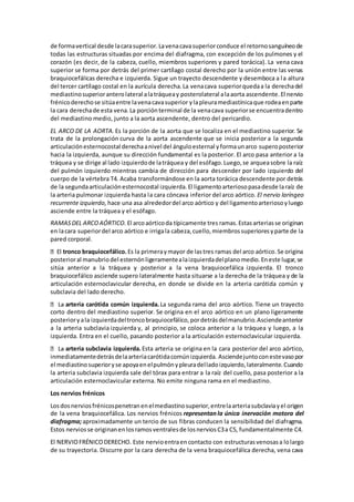de formavertical desde lacarasuperior.Lavenacavasuperiorconduce el retornosanguíneode
todas las estructuras situadas por encima del diafragma, con excepción de los pulmones y el
corazón (es decir, de la cabeza, cuello, miembros superiores y pared torácica). La vena cava
superior se forma por detrás del primer cartílago costal derecho por la unión entre las venas
braquiocefálicas derecha e izquierda. Sigue un trayecto descendente y desemboca a la altura
del tercer cartílago costal en la aurícula derecha.La venacava superiorquedaa la derechadel
mediastinosuperioranterolateral alatráqueay posterolateral alaaorta ascendente.El nervio
frénicoderechose sitúaentre lavenacavasuperior ylapleuramediastínicaque rodeaenparte
la cara derechade esta vena.La porciónterminal de la venacava superiorse encuentradentro
del mediastino medio, junto a la aorta ascendente, dentro del pericardio.
EL ARCO DE LA AORTA. Es la porción de la aorta que se localiza en el mediastino superior. Se
trata de la prolongación curva de la aorta ascendente que se inicia posterior a la segunda
articulaciónesternocostal derechaanivel del ánguloesternal yformaunarco superoposterior
hacia la izquierda, aunque su dirección fundamental es la posterior. El arco pasa anterior a la
tráquea y se dirige al lado izquierdode latráquea y del esófago.Luego,se arqueasobre la raíz
del pulmón izquierdo mientras cambia de dirección para descender por lado izquierdo del
cuerpo de la vértebra T4. Acaba transformándose en la aorta torácica descendente por detrás
de la segundaarticulaciónesternocostal izquierda.El ligamentoarteriosopasadesde laraíz de
la arteria pulmonar izquierda hasta la cara cóncava inferior del arco aórtico. El nervio laríngeo
recurrente izquierdo, hace una asa alrededordel arco aórtico y del ligamentoarteriosoyluego
asciende entre la tráquea y el esófago.
RAMASDEL ARCOAÓRTICO. El arcoaórticoda típicamente tres ramas.Estasarteriasse originan
en lacara superiordel arco aórtico e irrigala cabeza,cuello,miembrossuperioresyparte de la
pared corporal.
tronco braquiocefálico. Es la primeraymayor de lastres ramas del arco aórtico.Se origina
posterioral manubriodel esternónligeramentealaizquierdadelplanomedio.Eneste lugar,se
sitúa anterior a la tráquea y posterior a la vena braquiocefálica izquierda. El tronco
braquiocefálico asciende supero lateralmente hasta situarse a la derecha de la tráquea y de la
articulación esternoclavicular derecha, en donde se divide en la arteria carótida común y
subclavia del lado derecho.
arteria carótida común izquierda. La segunda rama del arco aórtico. Tiene un trayecto
corto dentro del mediastino superior. Se origina en el arco aórtico en un plano ligeramente
posterioryala izquierdadeltroncobraquiocefálico,pordetrásdelmanubrio.Asciendeanterior
a la arteria subclavia izquierda y, al principio, se coloca anterior a la tráquea y luego, a la
izquierda. Entra en el cuello, pasando posterior a la articulación esternoclavicular izquierda.
arteria subclavia izquierda. Esta arteria se origina en la cara posterior del arco aórtico,
inmediatamentedetrásdelaarteriacarótidacomúnizquierda. Asciendejuntoconestevasopor
el mediastinosuperioryse apoyaenelpulmónypleuradelladoizquierdo,lateralmente.Cuando
la arteria subclavia izquierda sale del tórax para entrar a la raíz del cuello, pasa posterior a la
articulación esternoclavicular externa. No emite ninguna rama en el mediastino.
Los nervios frénicos
Losdosnerviosfrénicospenetranenelmediastinosuperior,entrelaarteriasubclaviayel origen
de la vena braquiocefálica. Los nervios frénicos representan la única inervación motora del
diafragma;aproximadamente un tercio de sus fibras conducen la sensibilidad del diafragma.
Estos nerviosse originanenlosramosventralesde losnerviosC3a C5, fundamentalmente C4.
El NERVIOFRÉNICODERECHO. Este nervioentraencontacto con estructurasvenosasa lolargo
de su trayectoria. Discurre por la cara derecha de la vena braquiocefálica derecha, vena cava
 