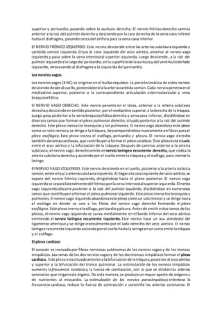 superior y pericardio, pasando sobre la aurícula derecha. El nervio frénico derecho camina
anterior a la raíz del pulmón derecho y desciende por la cara derecha de la vena cava inferior
hasta el diafragma, pasando cerca del orificio para la vena cava inferior.
El NERVIO FRÉNICO IZQUIERDO. Este nervio desciende entre las arterias subclavia izquierda y
carótida común izquierda. Cruza la cara izquierda del arco aórtico, anterior al nervio vago
izquierdo y pasa sobre la vena intercostal superior izquierda. Luego desciende, a la raíz del
pulmónizquierdoalolargodel pericardio,enlasuperficiede laaurículaydel ventrículodel lado
izquierdo, atravesando al diafragma a la izquierda del pericardio.
Los nervios vagos
Los nerviosvagos (XNC) se originanenel bulboraquídeo.La porcióntorácica de estos nervios
desciende desde al cuello,posterolateral alaarteriacarótidacomún.Cada nerviopenetraenel
mediastino superior, posterior a la correspondiente articulación esternoclavicular y vena
braquiocefálica.
El NERVIO VAGO DERECHO. Este nervio penetra en el tórax, anterior a la arteria subclavia
derechaydesciendeensentidoposterior,porel mediastinosuperior,aladerechade latráquea.
Luego pasa posterior a la vena braquiocefálica derecha y vena cava inferior, dividiéndose en
diversos ramos que forman el plexo pulmonar derecho, situado posterior a la raíz del pulmón
derecho. Este plexo inerva los bronquios y los pulmones. El nervio vago abandona este plexo
como un solo nervioy se dirige a la tráquea, descomponiéndose nuevamente enfibrasparael
plexo esofágico. Este plexo inerva el esófago, pericardio y pleura. El nervio vago derecho
tambiéndaramascardiacas,que contribuyenaformarel plexo cardiaco. Este plexoestásituado
entre el arco aórtico y la bifurcación de la tráquea. Después de caminar anterior a la arteria
subclavia, el nervio vago derecho emite el nervio laríngeo recurrente derecho, que rodea la
arteria subclavia derecha y asciende por el cuello entre la tráquea y el esófago,para inervar la
laringe.
El NERVIO VAGO IZQUIERDO. Este nervio desciende en el cuello, posterior a la arteria torácica
común,entre ellaylaarteriasubclaviaizquierda.Al llegaralacara izquierdadel arcoaórtico,se
separa del nervio frénico izquierdo, dirigiéndose hacia el plano posterior. El nervio vago
izquierdose separalateralmentedel frénicoporlavenaintercostal superiorizquierda.El nervio
vago izquierdo discurre posterior a la raíz del pulmón izquierdo, dividiéndose en numerosos
ramos que contribuyenaformar el plexo pulmonarizquierdo. Este plexoinervalosbronquiosy
pulmones.El nerviovago izquierdoabandonaeste plexo comoun solo tronco y se dirige hacia
el esófago en donde se une a las fibras del nervio vago derecho formando el plexo
esofágico. Este plexoinervael esófago,pericardioypleura.Antesde emitirestosramos de los
plexos, el nervio vago izquierdo se curva medialmente en el borde inferior del arco aórtico
emitiendo el nervio laríngeo recurrente izquierdo. Este nervio hace un asa alrededor del
ligamento arterioso y se dirige cranealmente por el lado derecho del arco aórtico. El nervio
laríngeorecurrente izquierdoasciendeporel cuellohastalalaringeenunsurcoentre latráquea
y el esófago.
El plexo cardiaco
El corazón es inervado por fibras nerviosas autónomas de los nervios vagos y de los troncos
simpáticos.Lasramas de los dosnerviosvagosy de los dostroncos simpáticosformanel plexo
cardiaco. Este plexoestasituadoanterioralabifurcaciónde latráquea,posterioral arcoaórtico
y superior a la bifurcación del tronco pulmonar. La estimulación de los nervios simpáticos
aumenta lafrecuencia cardiaca y la fuerza de contracción, con lo que se dilatan las arterias
coronarias que irriganeste órgano. De esta manera,se produce un mayor aporte de oxígenoy
de nutrientes al miocardio. La estimulación de los nervios parasimpáticos enlentece la
frecuencia cardiaca, reduce la fuerza de contracción y constriñe las arterias coronarias. El
 