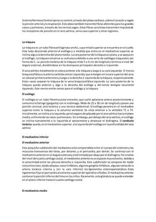 SistemaNerviosoCentral ejerceuncontrol,atravésdel plexocardiaco,sobreel corazónyregula
lapresiónarterialylarespiración.Este plexotambiéntransmitefibrasaferentesparalosgrandes
vasos y pulmones,através de losnerviosvagos.Estas fibras sensitivastransmitenimpulsosde
los receptores de presión en el arco aórtico, vena cava superior y otras regiones.
La tráquea
La tráquea es un tubo fibrocartilaginoso ancho, cuya mitad superior se encuentra en el cuello.
Este tubo desciende anterior al esófago y a medida que entra en el mediastino superior, se
inclinaalgoaladerechadel planomedio.Lacaraposteriorde latráqueaesplana,yse apoyaen
el esófago. La tráquea conserva su estructura debido a una serie de cartílagos traqueales con
forma de C. La porción torácica de la tráquea mide 5 a 6 cm de longitud y termina a nivel del
ángulo esternal, dividiéndose en los bronquios principales derecho e izquierdo.
El arco aórtico inicialmente se coloca anterior a la tráquea y luego a su cara izquierda. El tronco
braquiocefálicoylaarteria carótidacomún izquierda,que emergenenlacara superiordel arco
se colocanprimeroanterioresyluegoa la derecha e izquierdade latráquea,respectivamente.
Estos vasos separan la tráquea de la vena braquiocefálica izquierda. La cara posterior de la
tráquea queda anterior y algo a la derecha del esófago y del nervio laríngeo recurrente
izquierdo. Este nervio emite ramos para el esófago y la tráquea.
El esófago
El esófago es un tubo fibromuscular estrecho, que suele aplanarse antero posteriormente y
comunica la faringe (garganta) con el estómago. Mide de 25 a 30 cm de longitud y posee una
porción cervical, otra torácica y una tercera abdominal. El esófago penetra en el mediastino
superior entre la tráquea y la columna vertebral. Se sitúa anterior a la vértebra T1 a T4.
Inicialmente,se inclinaalaizquierda,peroluegoesdesplazadoporel arcoaórticohaciael plano
medio,enfrentede lasraíces pulmonares.Sinembargo,pordebajodel arcoaórtico,el esófago
se inclina nuevamente a la izquierda al aproximarse y atravesar el diafragma. El conducto
torácico queda,enel mediastinosuperior,alaizquierdadel esófagoen laprofundidaddel arco
aórtico
El mediastino inferior
El mediastino anterior
Esta pequeña subdivisióndel mediastino está comprendida entre el cuerpodel esternóny los
músculos transversos del tórax, por delante, y el pericardio, por detrás. Se continúa con el
mediastinoanteriorenel ánguloesternalyestálimitadaporabajoporel diafragma.Porencima
del nivel delcuartocartílagocostal, el mediastino anterioresun espacio muy estrecho, debidoa
la proximidad entre las pleuras derecha e izquierda. Esta subdivisión se compone de tejido
conjuntivolaxo,tejidoadiposo,vasoslinfáticos,algunosganglioslinfáticos,algunasramasde la
arteria torácica interna y (en la cara inferior) los ligamentos esternopericárdicos. Estos
ligamentosfijanel pericardioal extremosuperiordel apéndice xifoides.El mediastinoanterior
contiene laporcióninferiordel timoenlosniños.Raramente,estaglándulase puede extender
en el plano inferior hasta el cuarto cartílago costal.
El mediastino medio
 