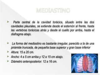 Comprehensive Anatomical Overview of the Thorax and Mediastinum ...